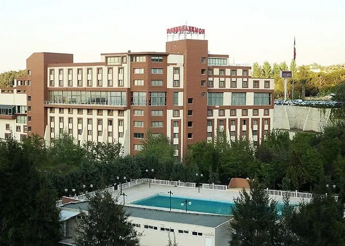 Hotel Anemon Grand 5*